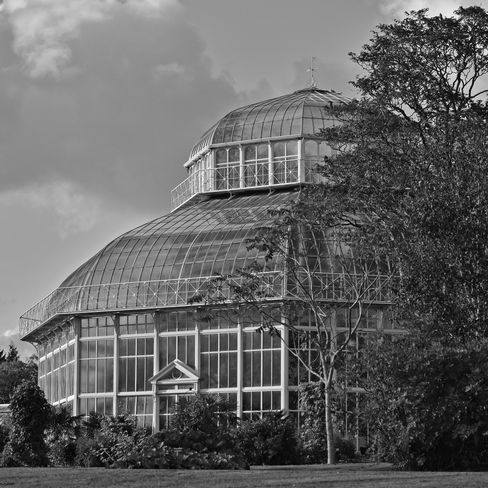 N389 Botanic Garden