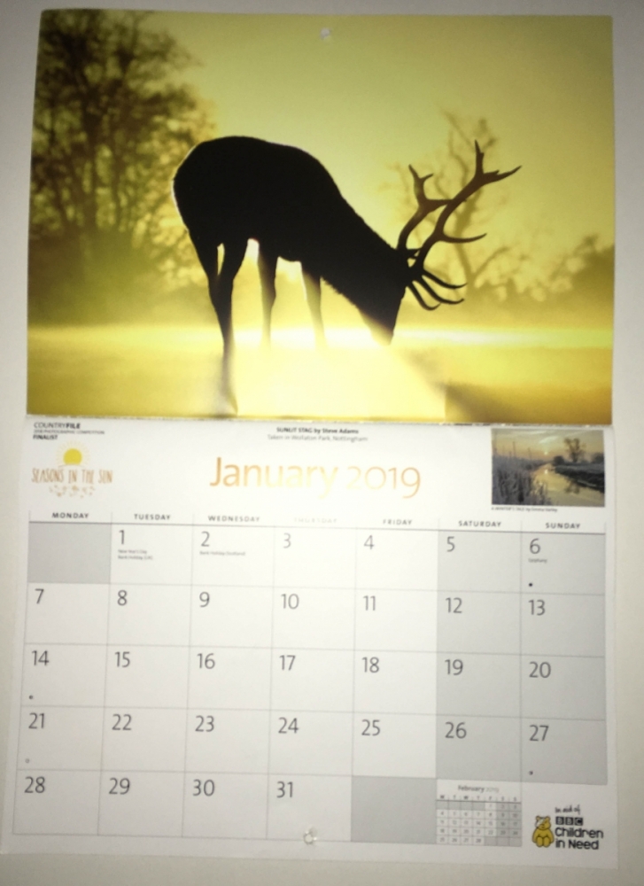 Calendar Month Page Sample
