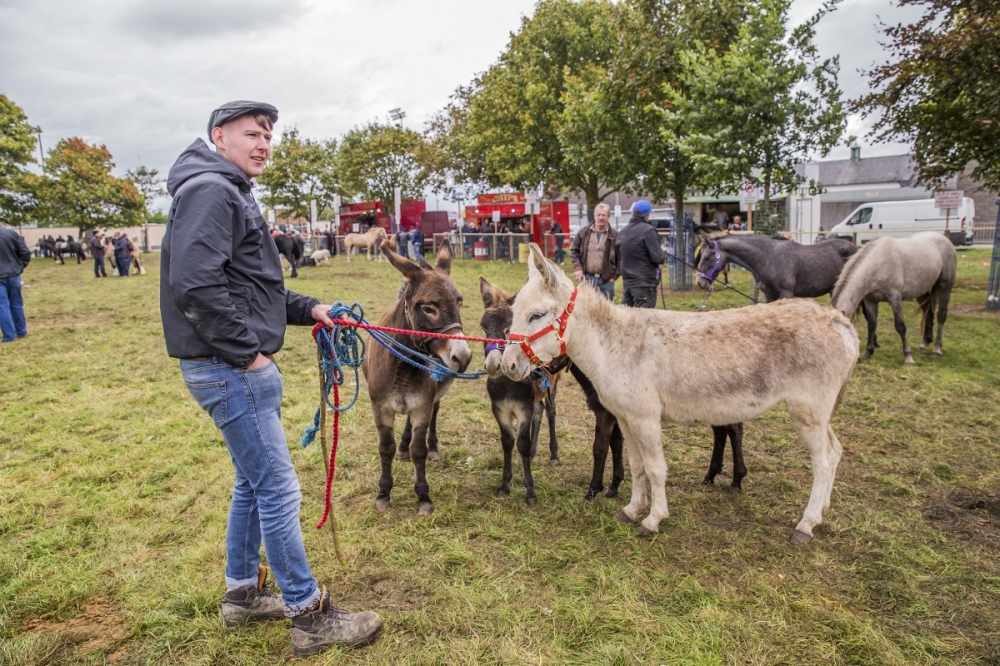 The Ballinasloe Horse Fair